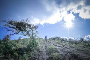 BIB: 
                            <button type="button" onclick="openModal(15955572)" class="btn btn-primary btn-sm float-right btn-popup" data-toggle="modal" data-target=".modal-high-quality">
                        <i class="fas fa-shopping-cart"></i> Add to Cart
                    </button>
                                            <button type="button" onclick="isThisMe(15955572, true)" class="btn btn-success btn-sm float-right btn-popup btn-isme hidden" data-toggle="tooltip" data-placement="bottom" title="นี่คือรูปของคุณใช่ไหม คลิกที่นี่เพื่อเอาเข้าอัลบั้ม">
                        <i class="fas fa-plus"></i> Add to album
                    </button>
                    <button type="button" onclick="isThisMe(15955572, false)" class="btn btn-warning btn-sm float-right btn-popup btn-isnotme hidden">
                        <i class="fas fa-ban"></i> Remove from album
                    </button>